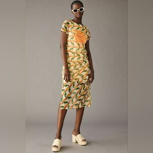 Anthropologie‎ x Farm Rio Printed Mesh Dress
